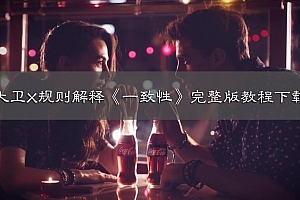 大卫X规则解释《一致性》完整版教程下载