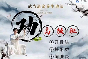 谭健康《武当扶阳功法高级密训》完整版视频课程下载